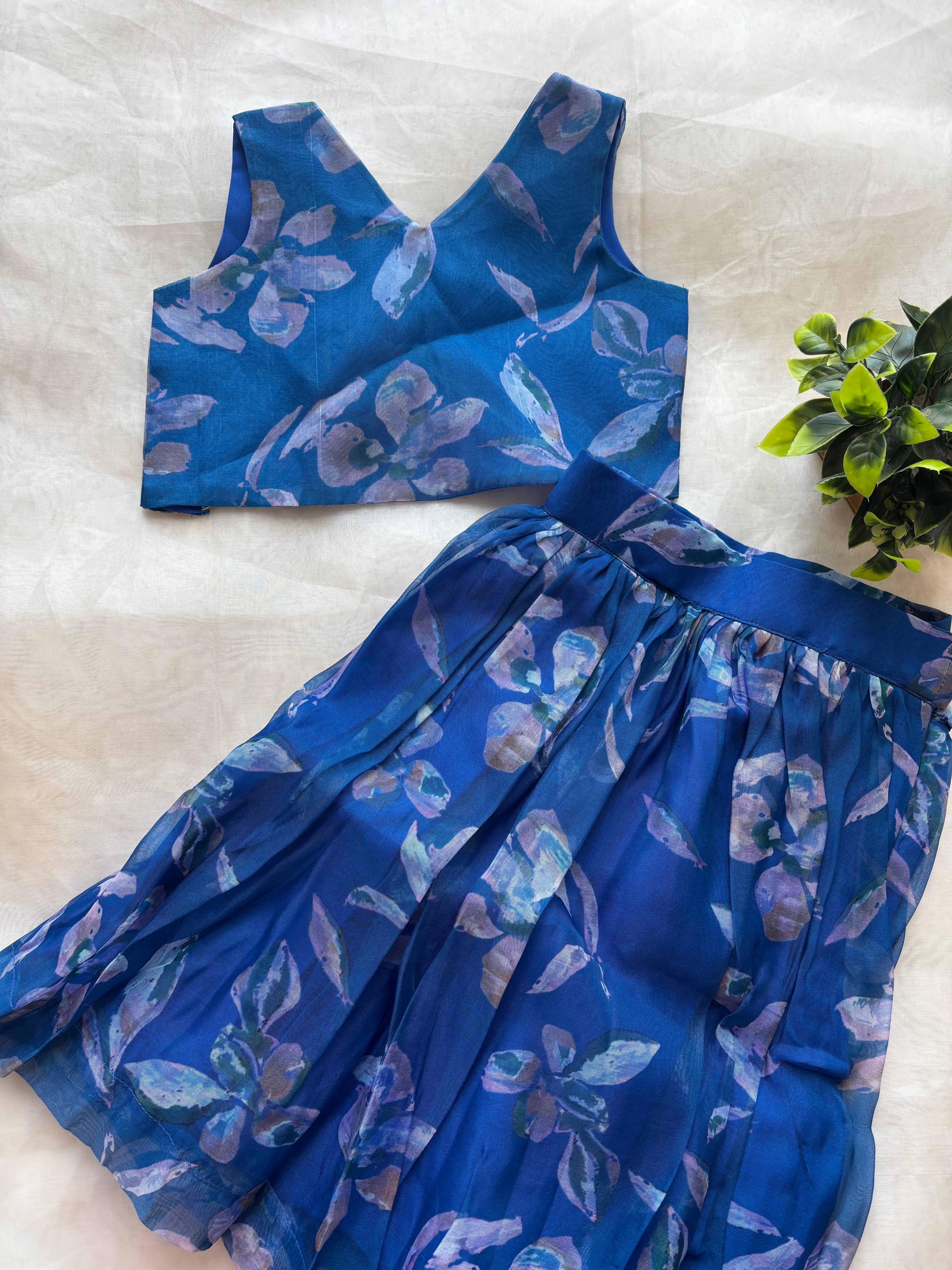 Blue floral organza skirt & top