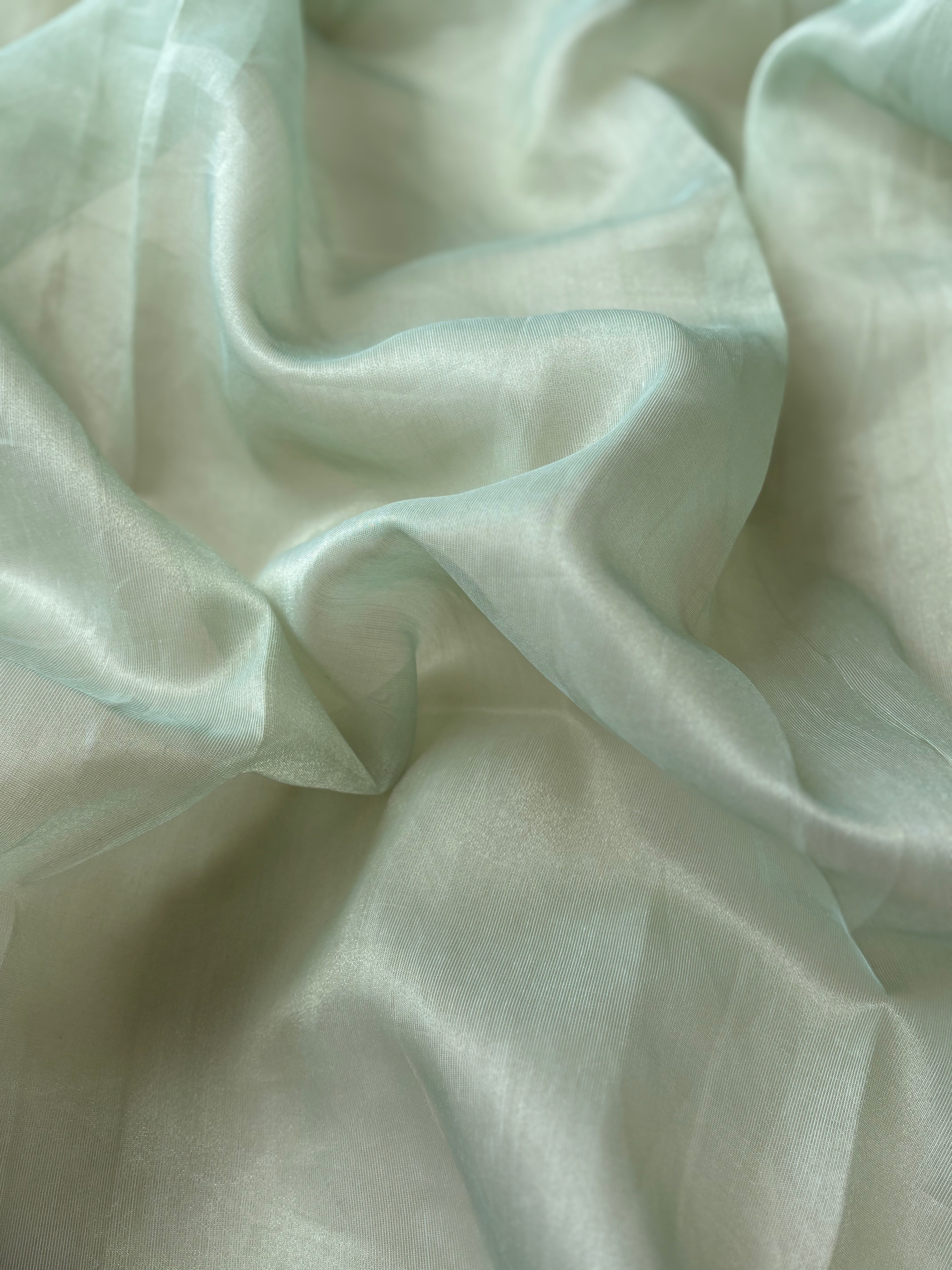 Mint mayuri semi organza saree