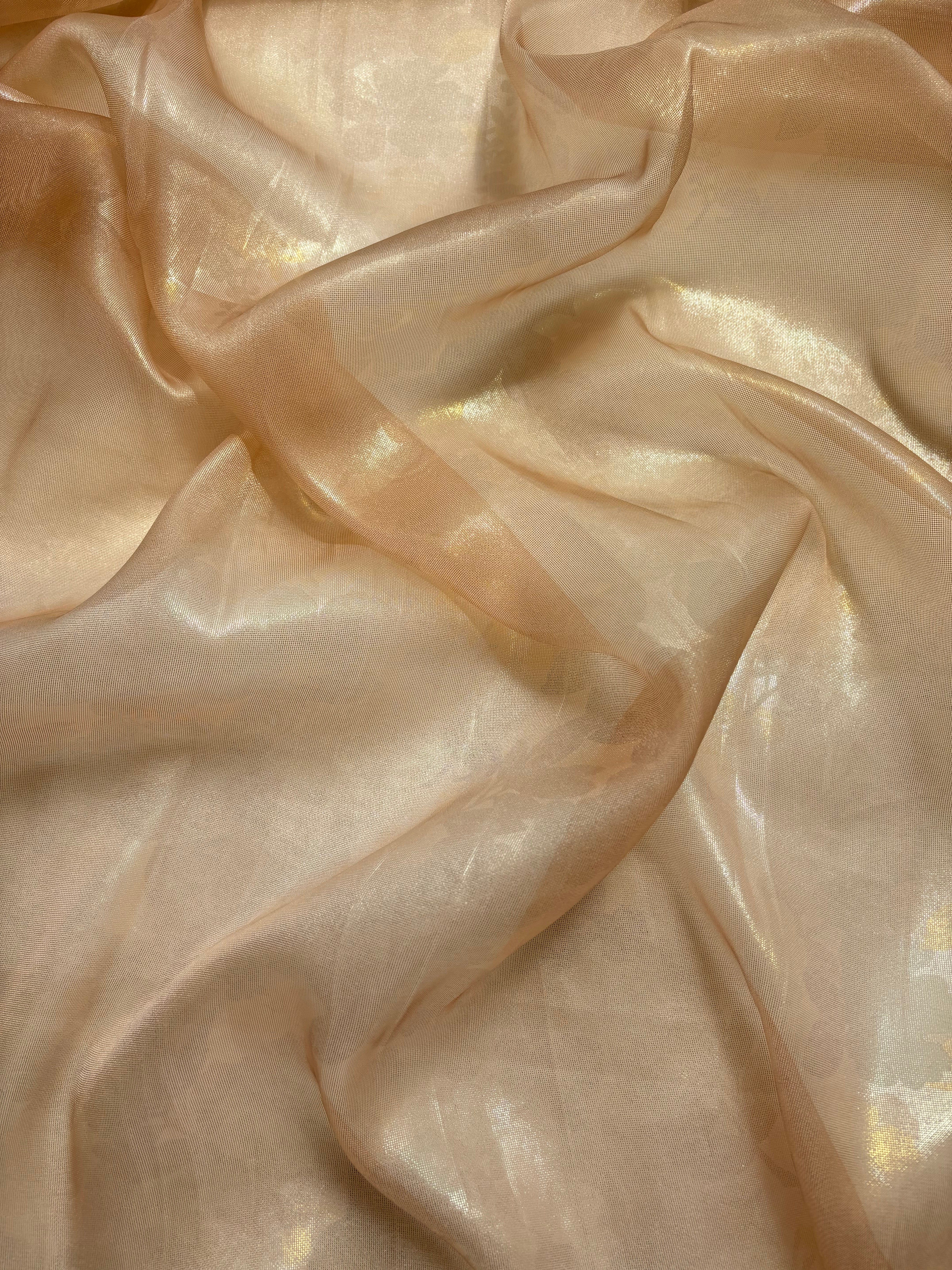 Golden shimmer organza saree