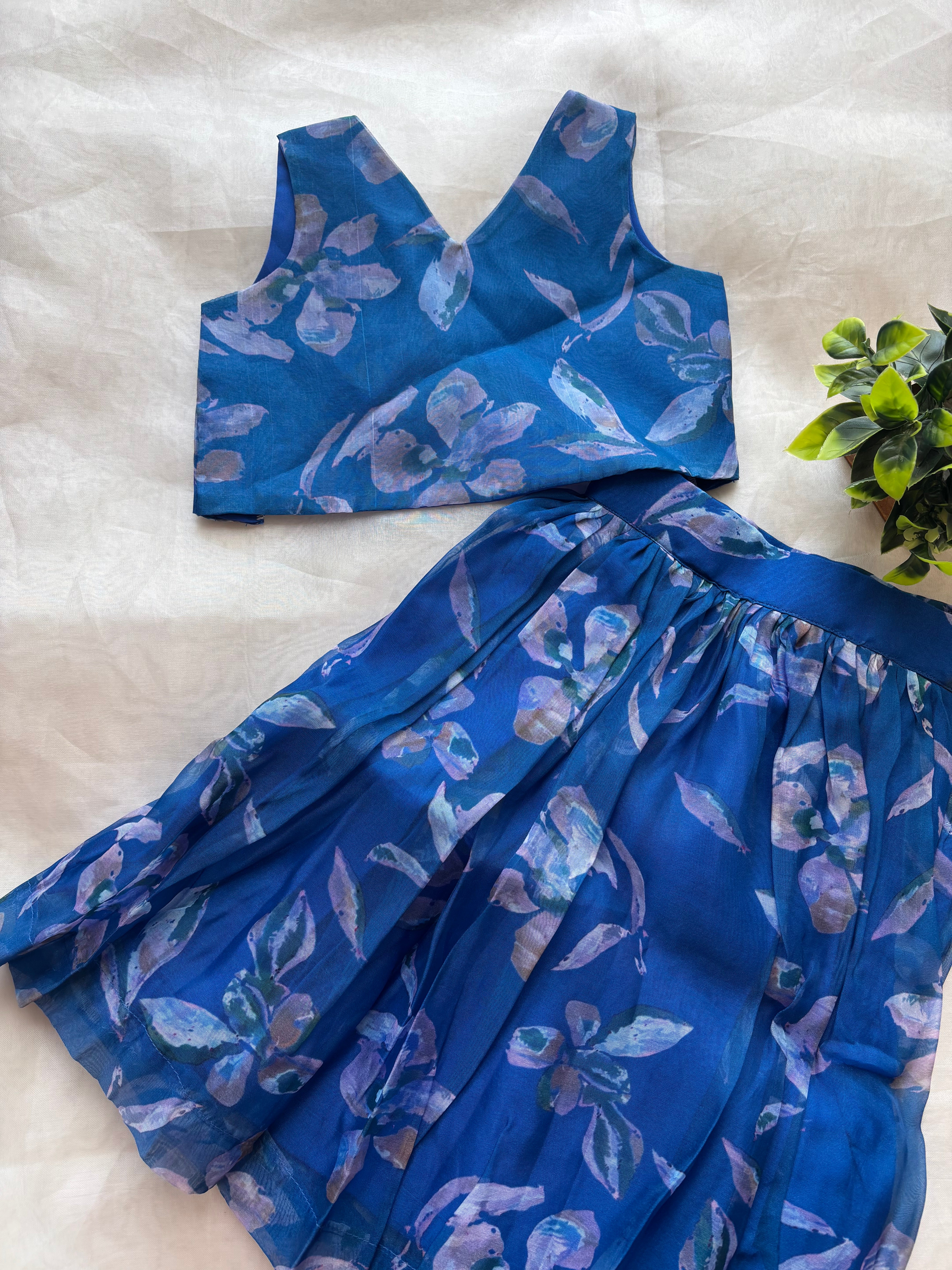 Blue floral organza skirt & top