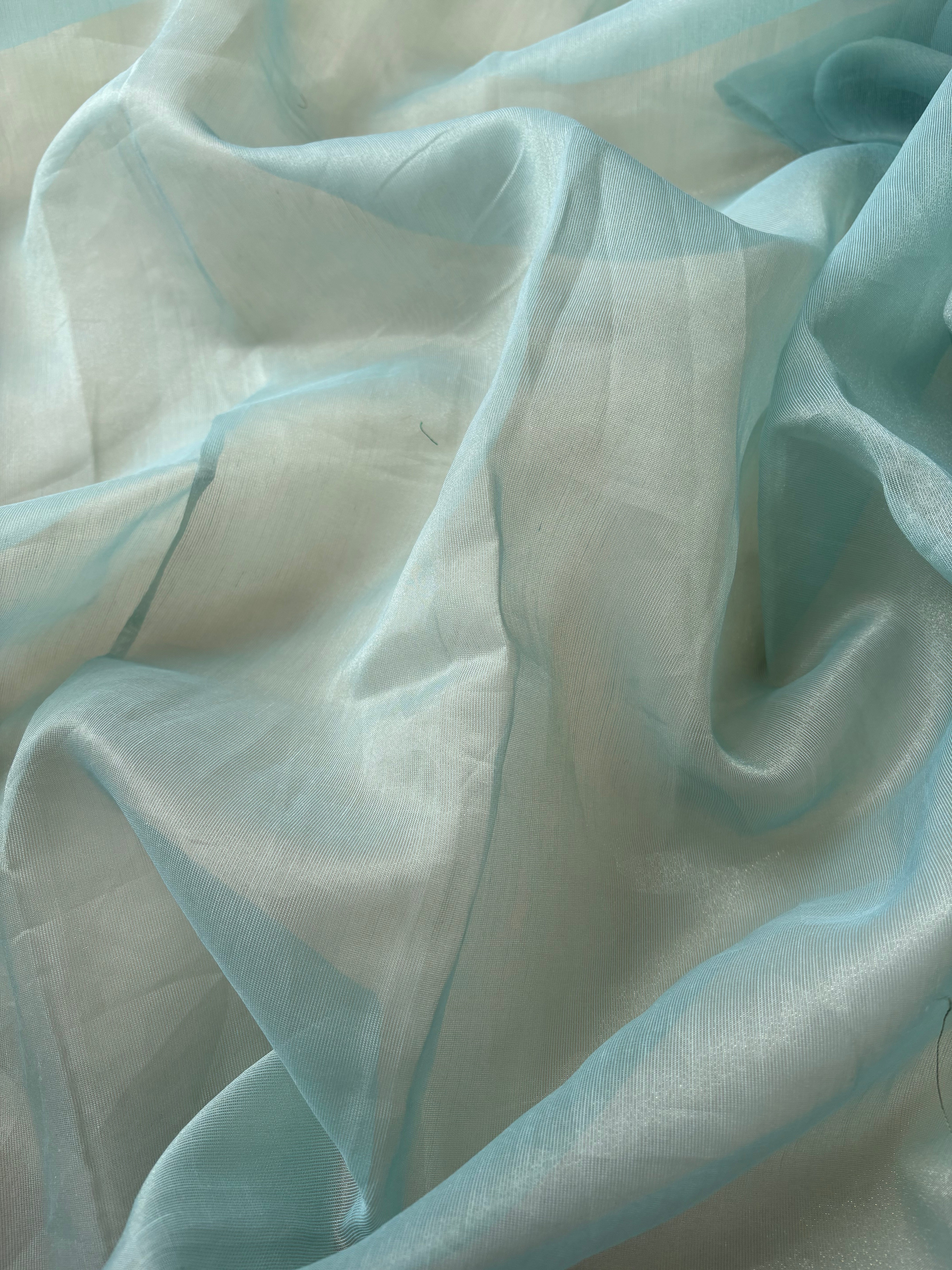 Neel mayuri semi organza saree