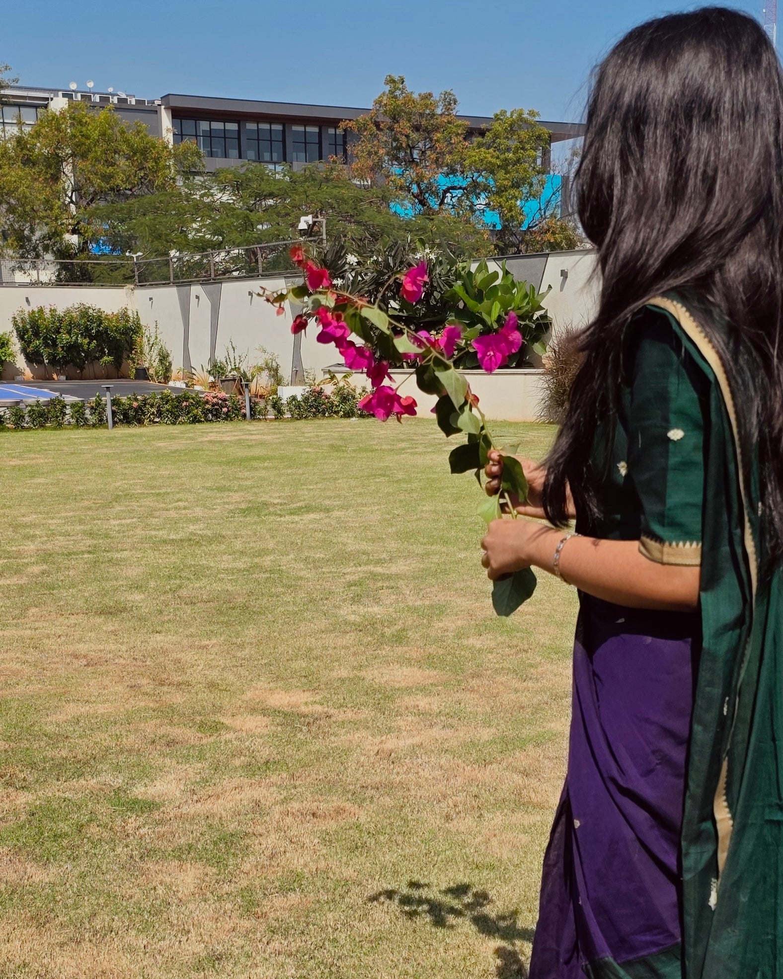 Purple with Green Half Saree