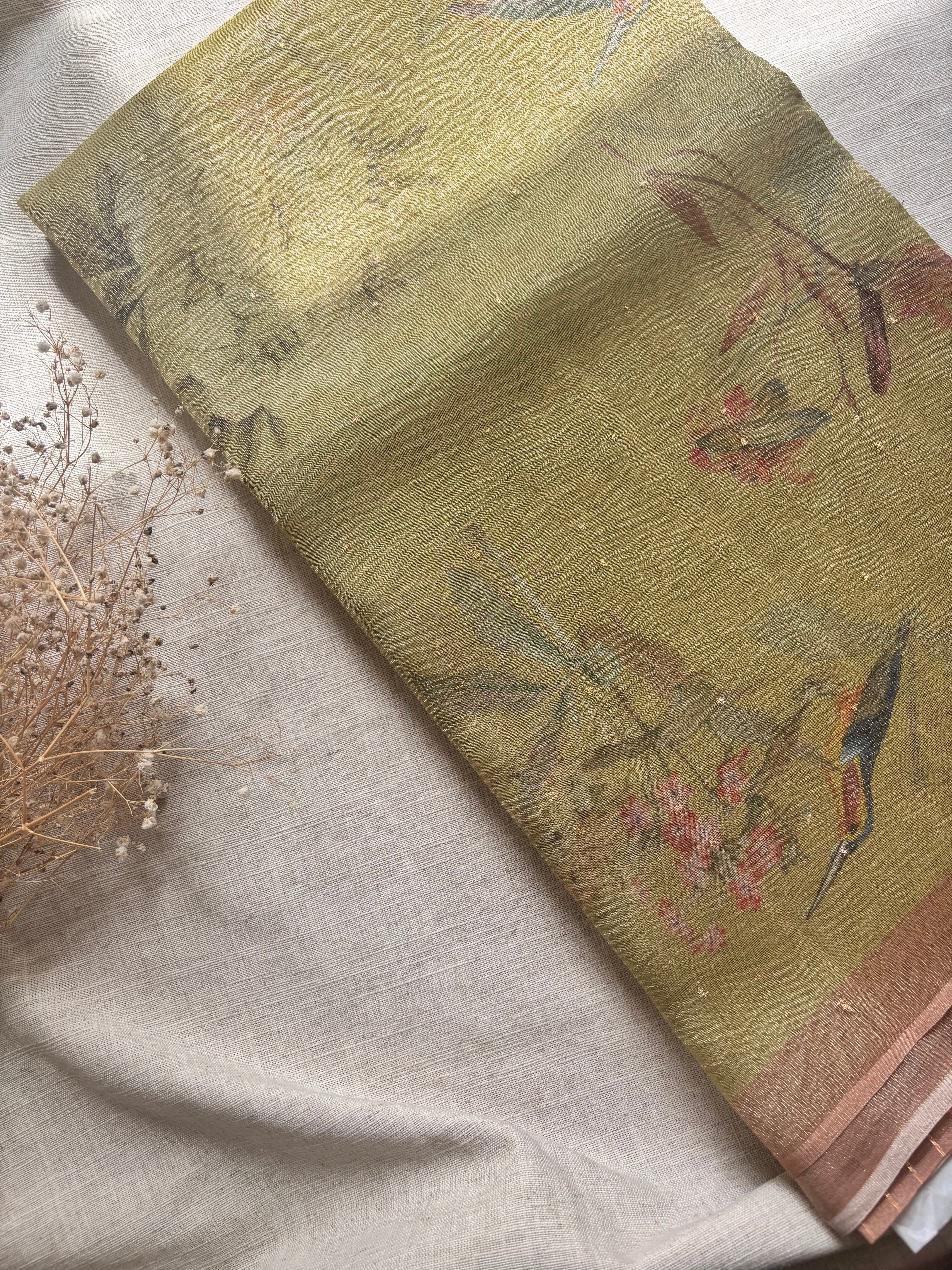 Pastel Yellow Tissue Saree