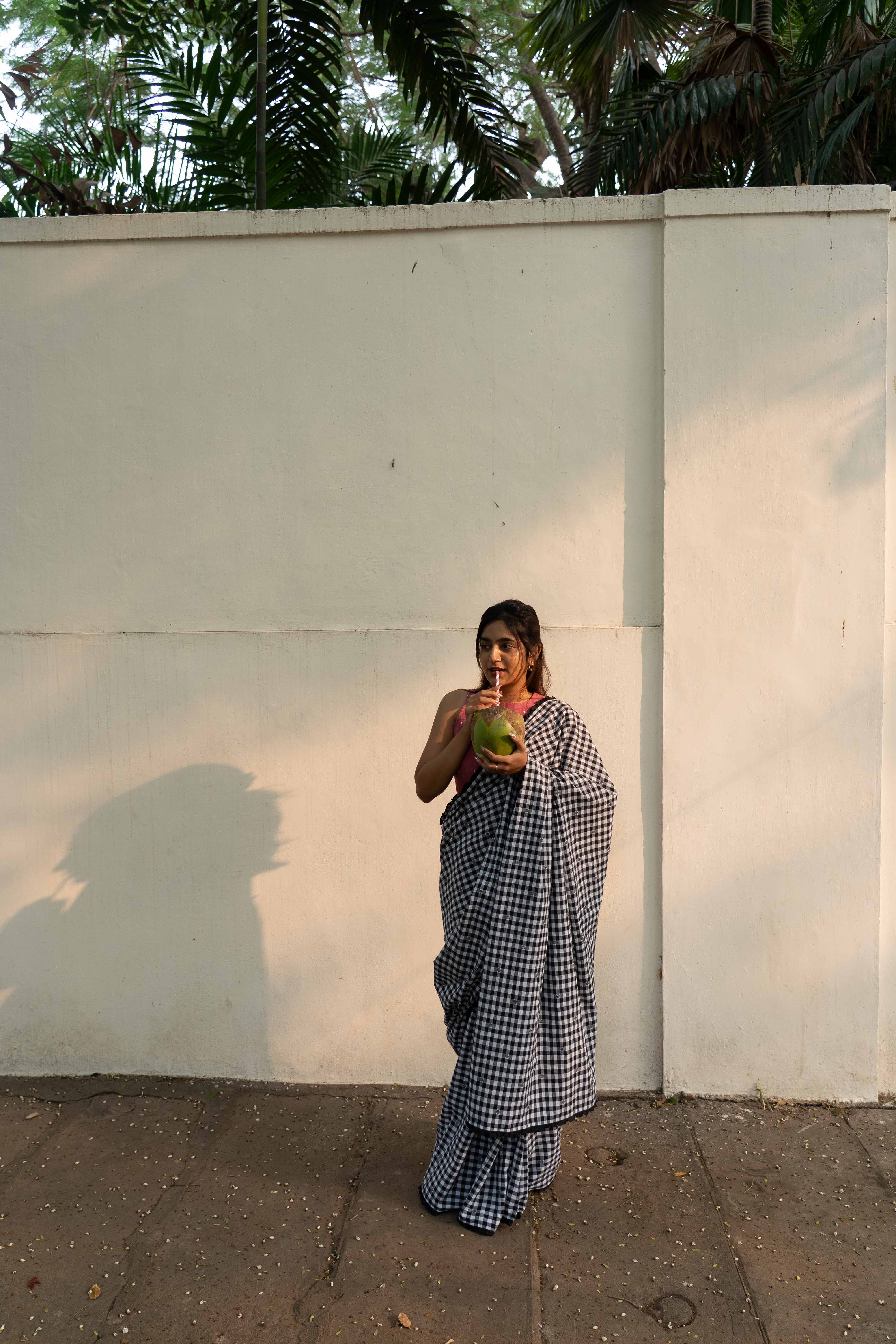 Noir Kattam saree