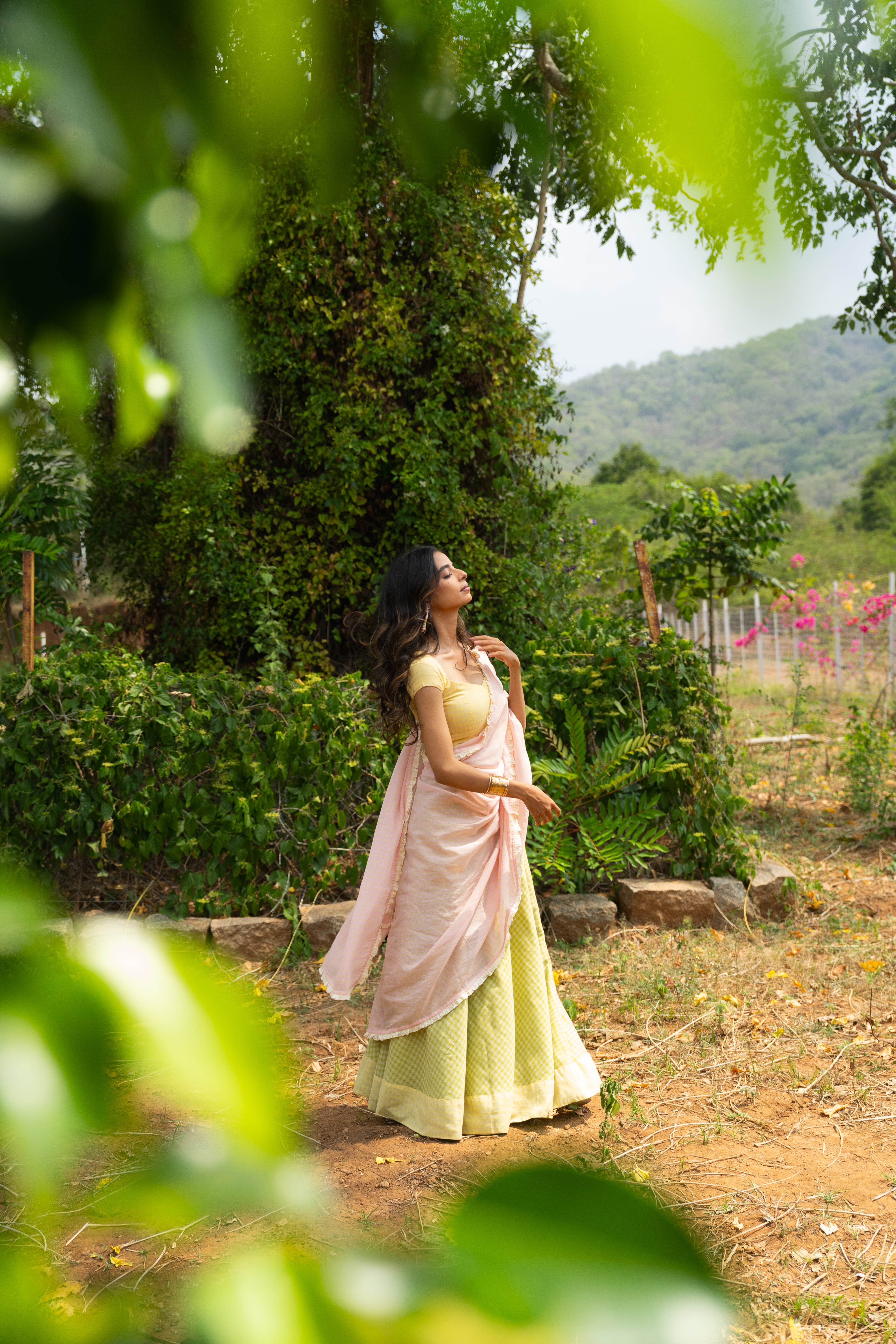 Cassata half saree