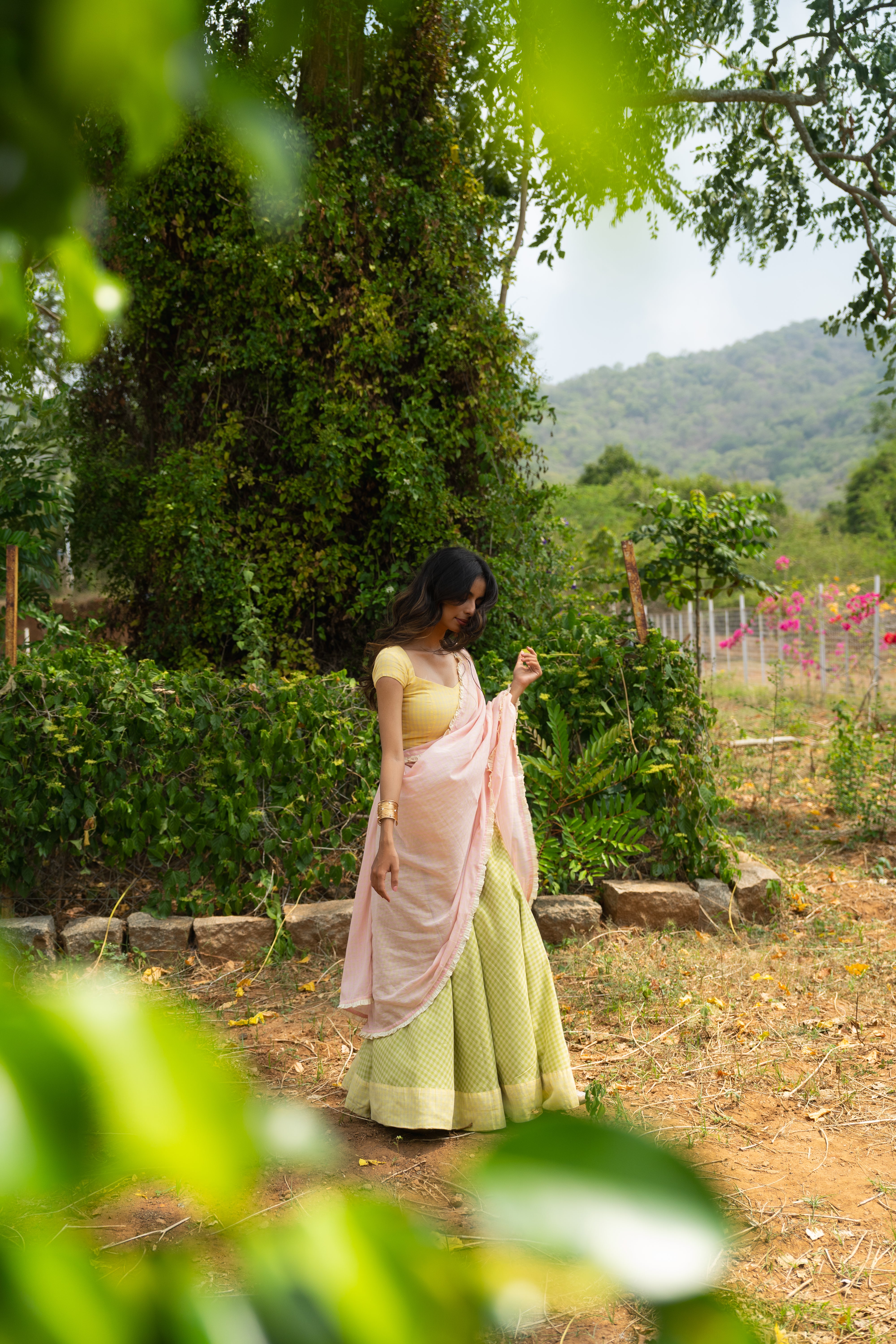 Cassata half saree