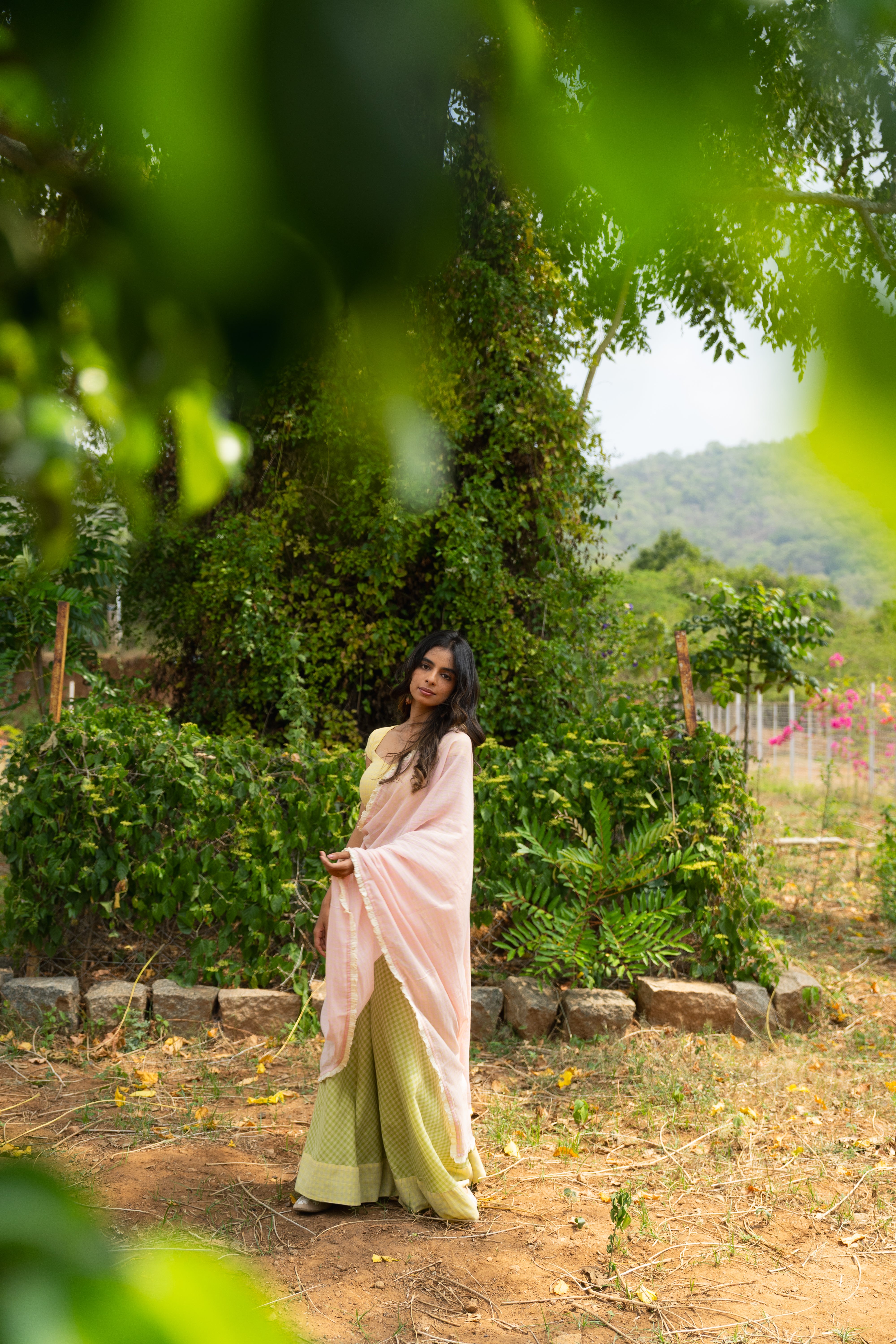 Cassata half saree