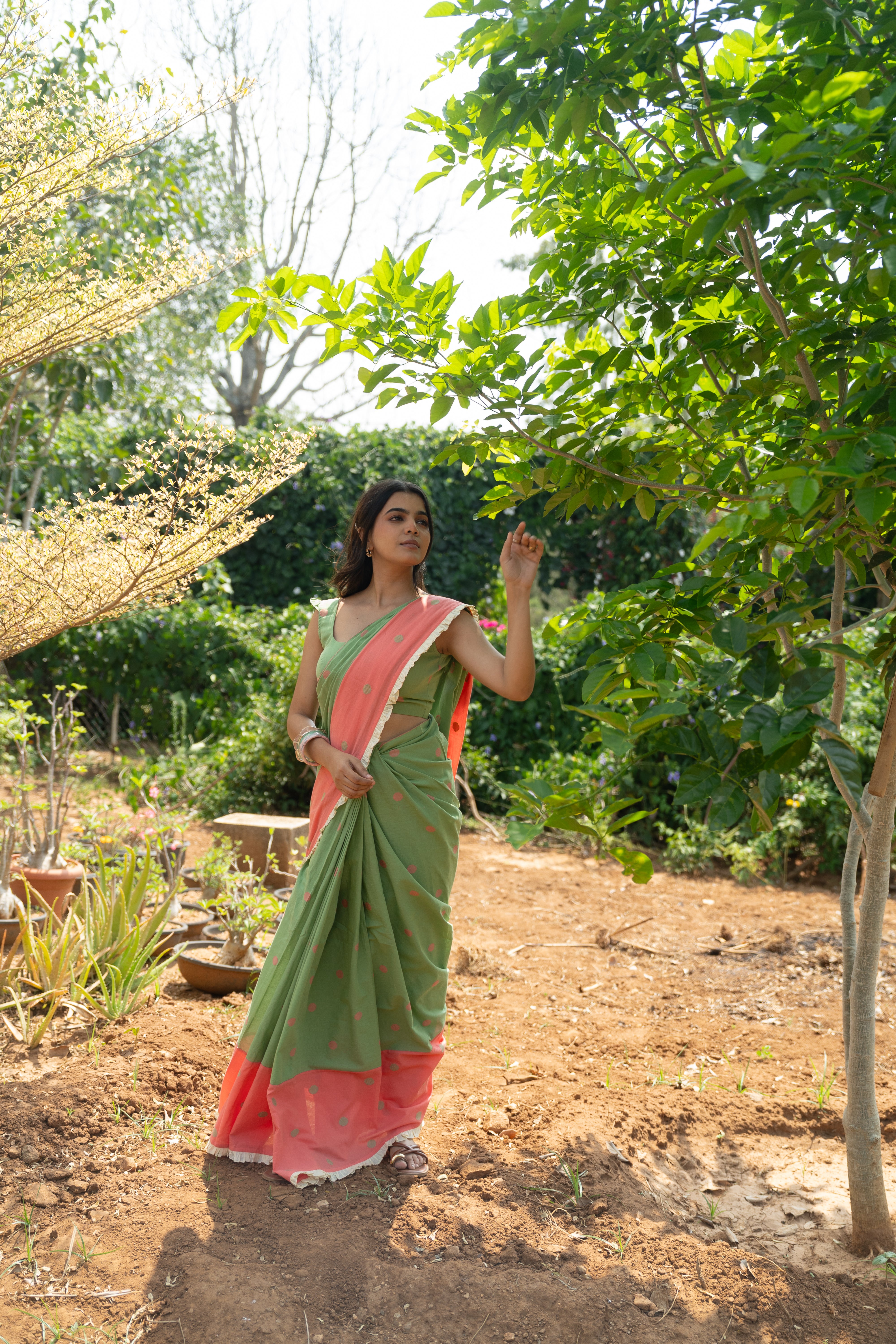 Pistachio Tuli Saree