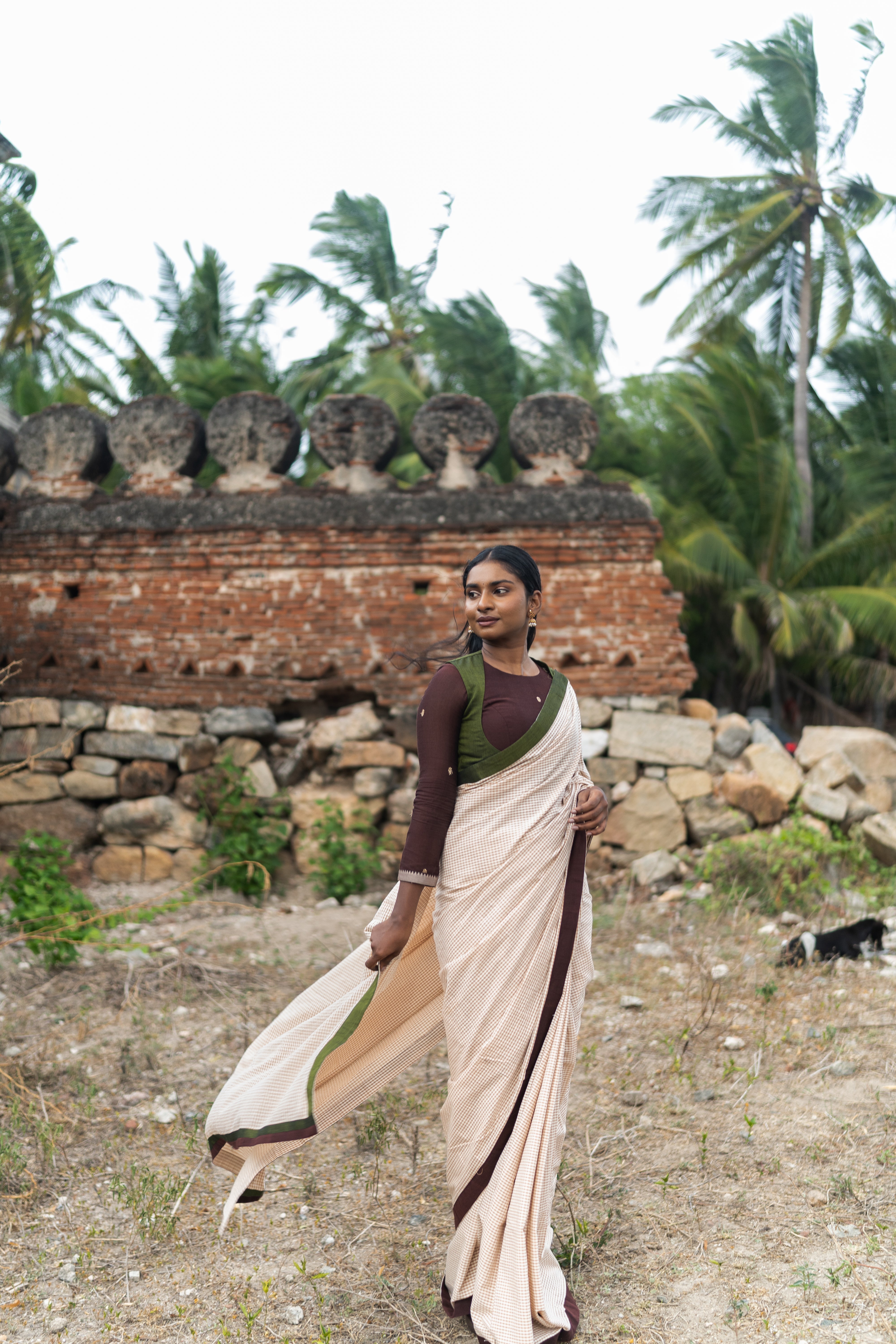 Yazh Checked Saree