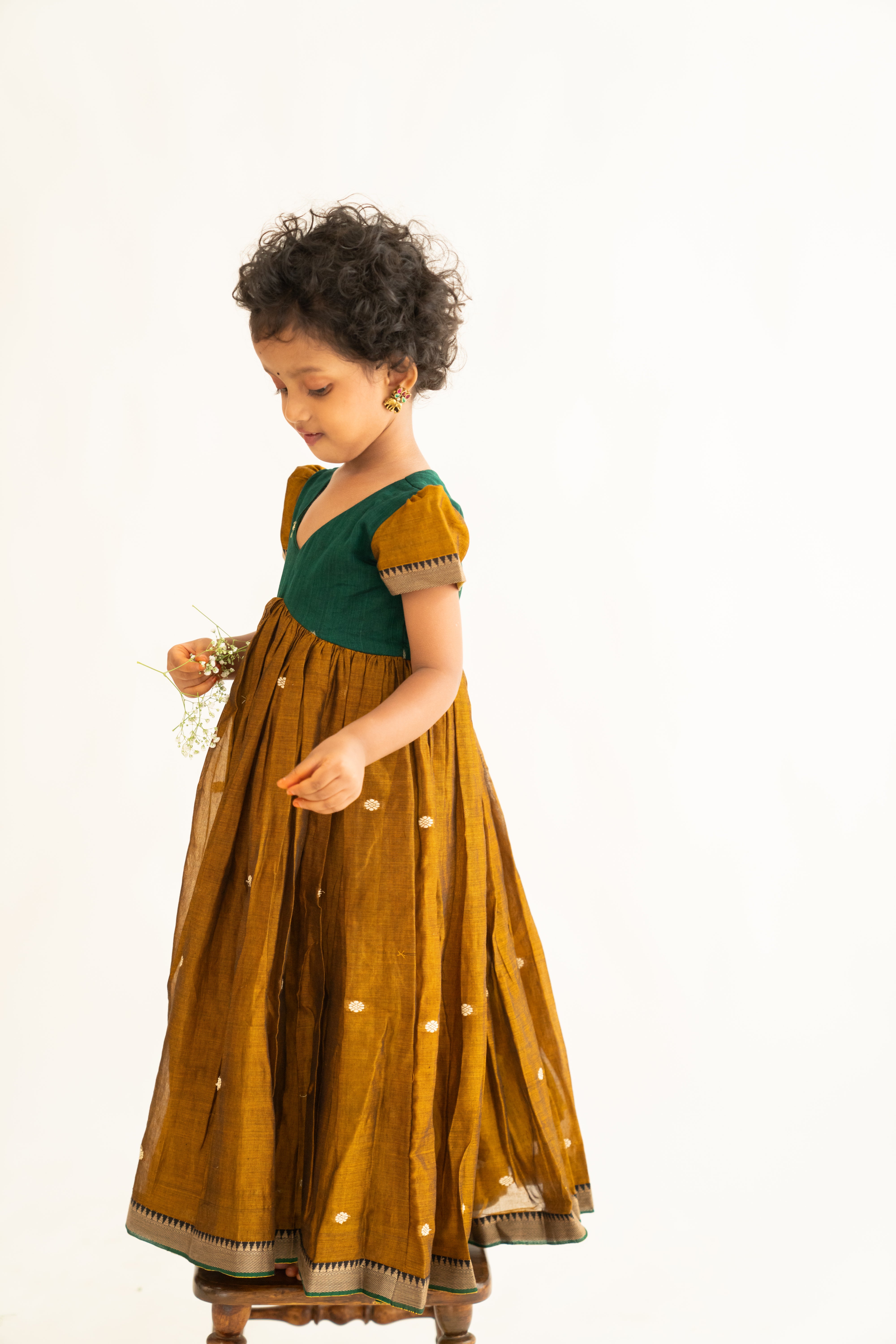 Mustard & Green Narayanpet Dress