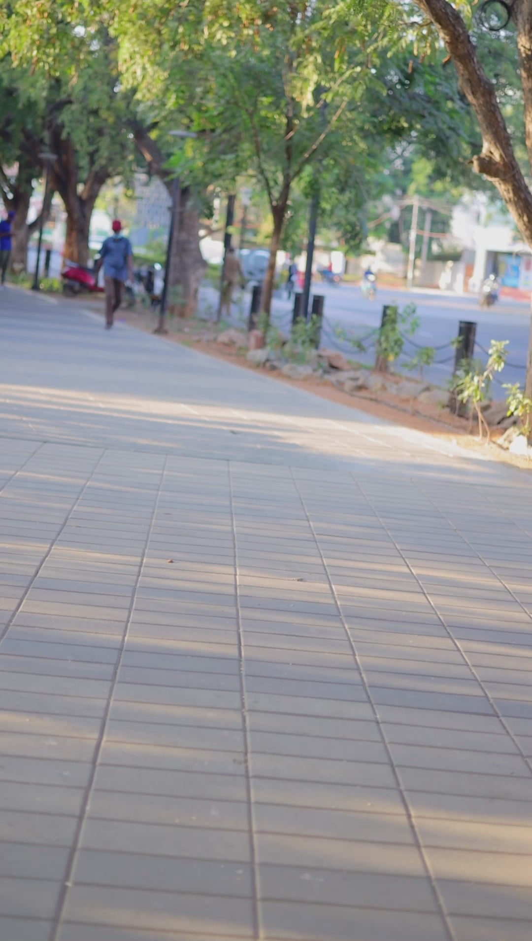 Pink & Blue Alia Cut Set