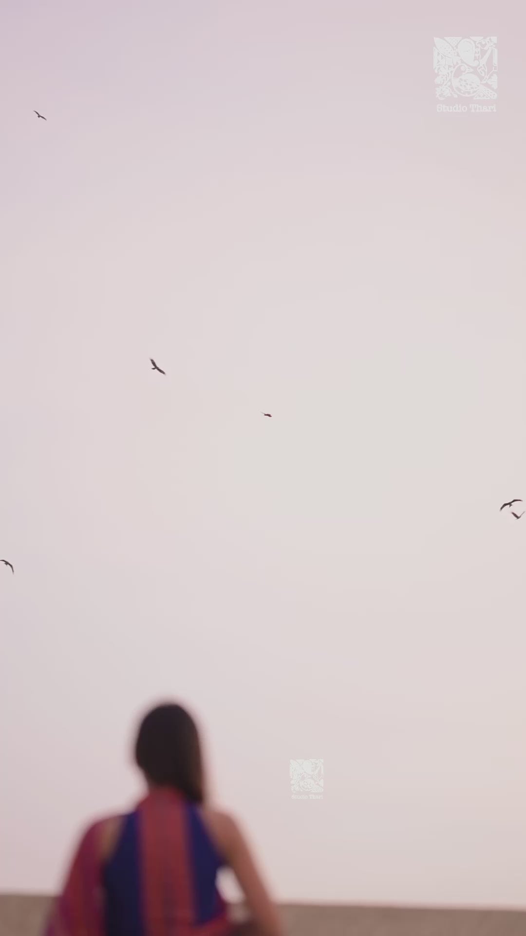 “Parvati" Bold and Beautiful Chettinad cotton sarees